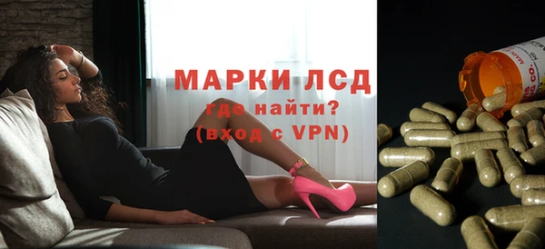прущие грибы Алзамай