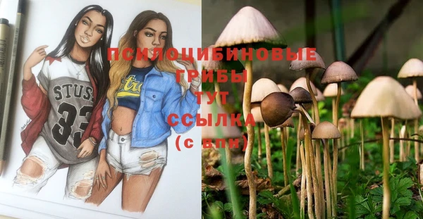 тгк Алексеевка