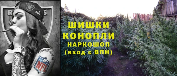 прущие грибы Алзамай