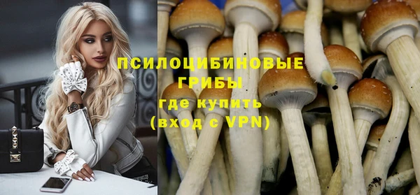 тгк Алексеевка