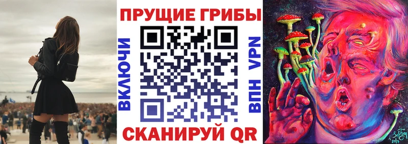 Галлюциногенные грибы ЛСД как найти наркотики Гвардейск